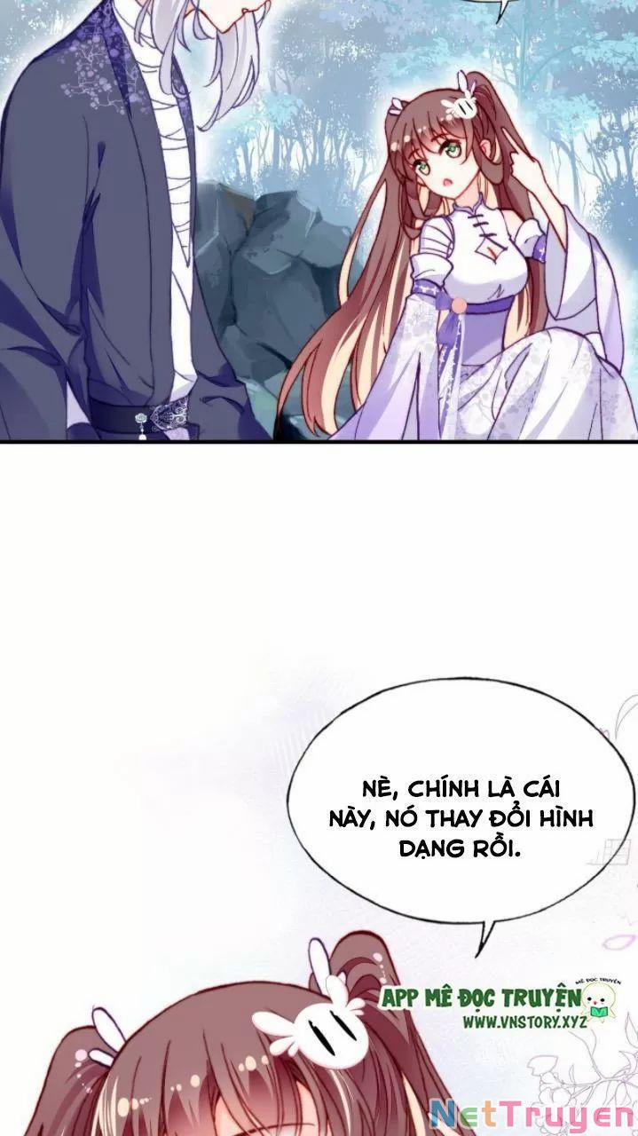 Lại Bị Bệnh Chiều Chuộng Quấn Lấy 0 Hai ta không cùng một tần số trang 17