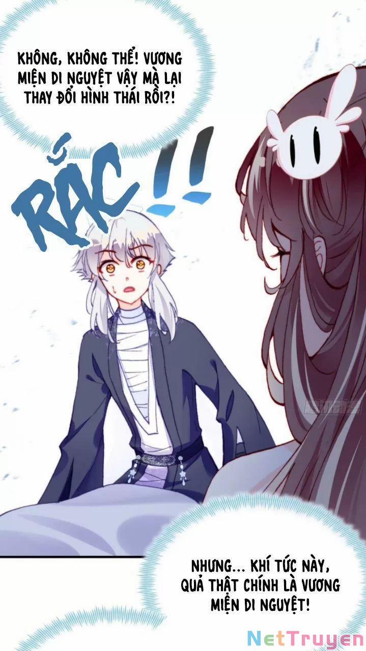 Lại Bị Bệnh Chiều Chuộng Quấn Lấy 0 Hai ta không cùng một tần số trang 19