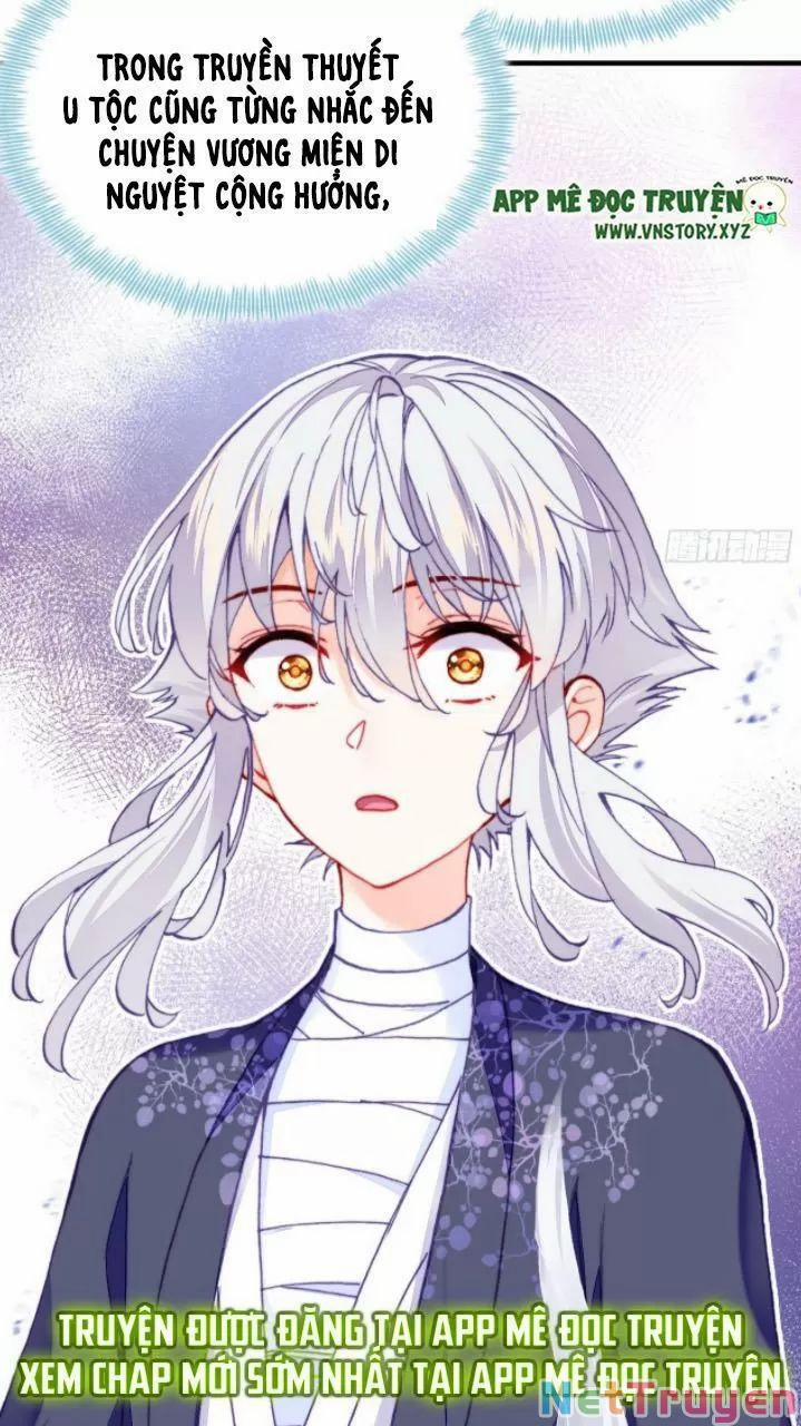 Lại Bị Bệnh Chiều Chuộng Quấn Lấy 0 Hai ta không cùng một tần số trang 20