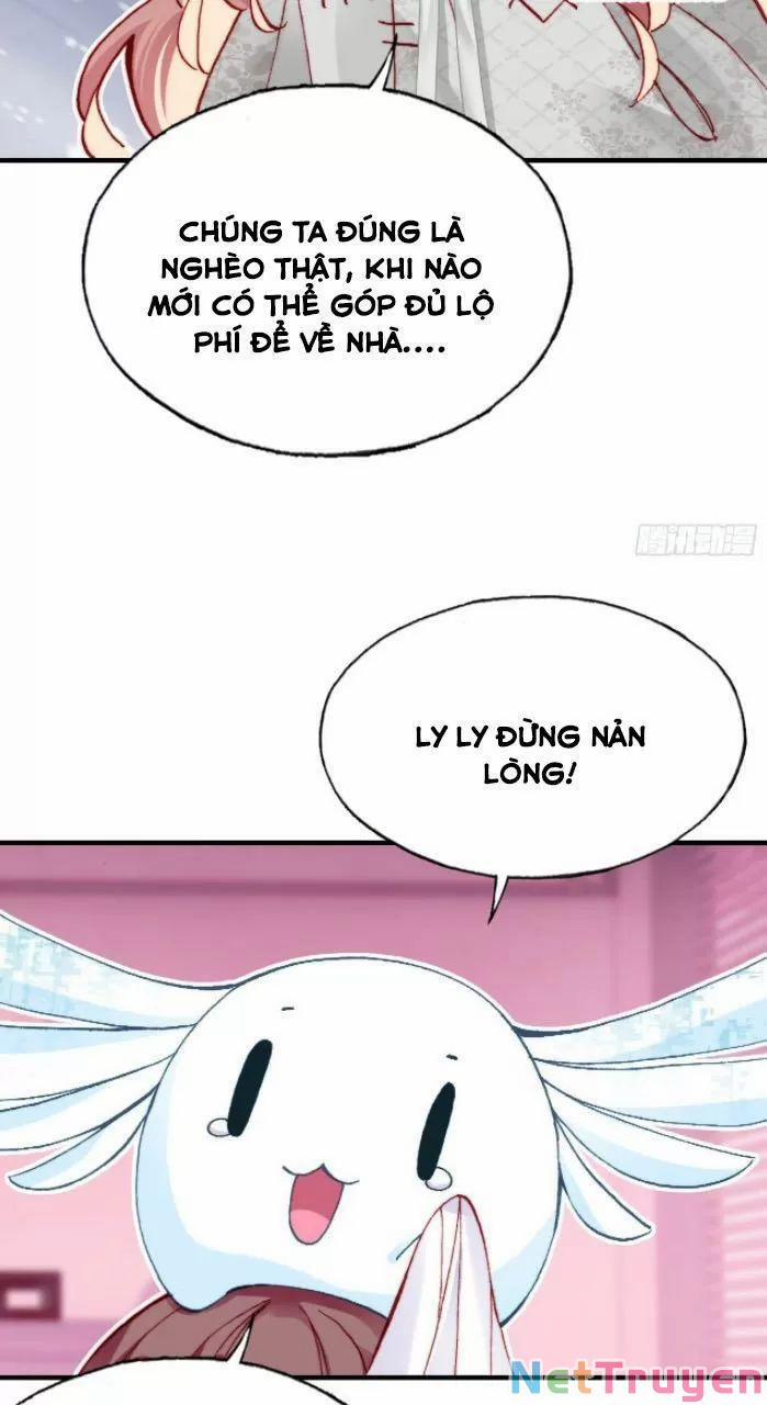 Lại Bị Bệnh Chiều Chuộng Quấn Lấy 0 Hệ thống lừa gạt trang 13