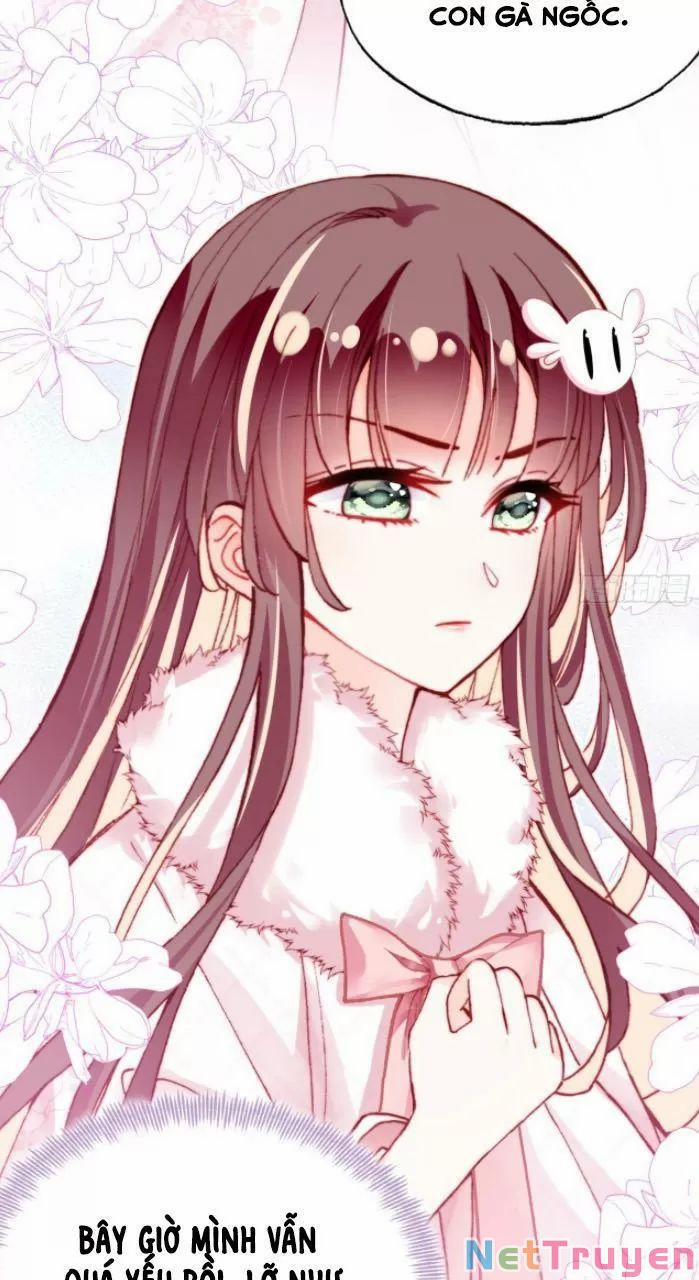 Lại Bị Bệnh Chiều Chuộng Quấn Lấy 0 Hệ thống lừa gạt trang 23