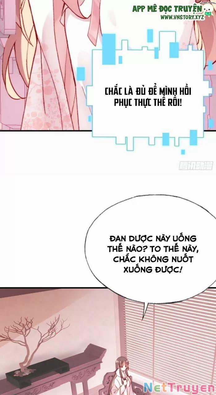 Lại Bị Bệnh Chiều Chuộng Quấn Lấy 0 Hệ thống lừa gạt trang 4