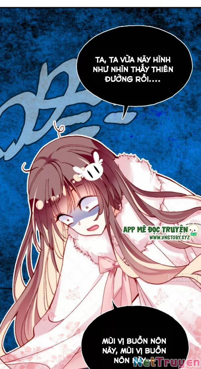 Lại Bị Bệnh Chiều Chuộng Quấn Lấy 0 Hệ thống lừa gạt trang 7