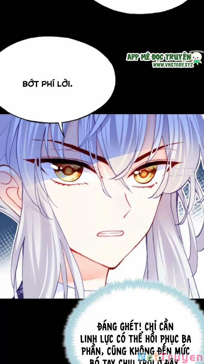 Lại Bị Bệnh Chiều Chuộng Quấn Lấy 0 Hồi ức cấm địa trang 14