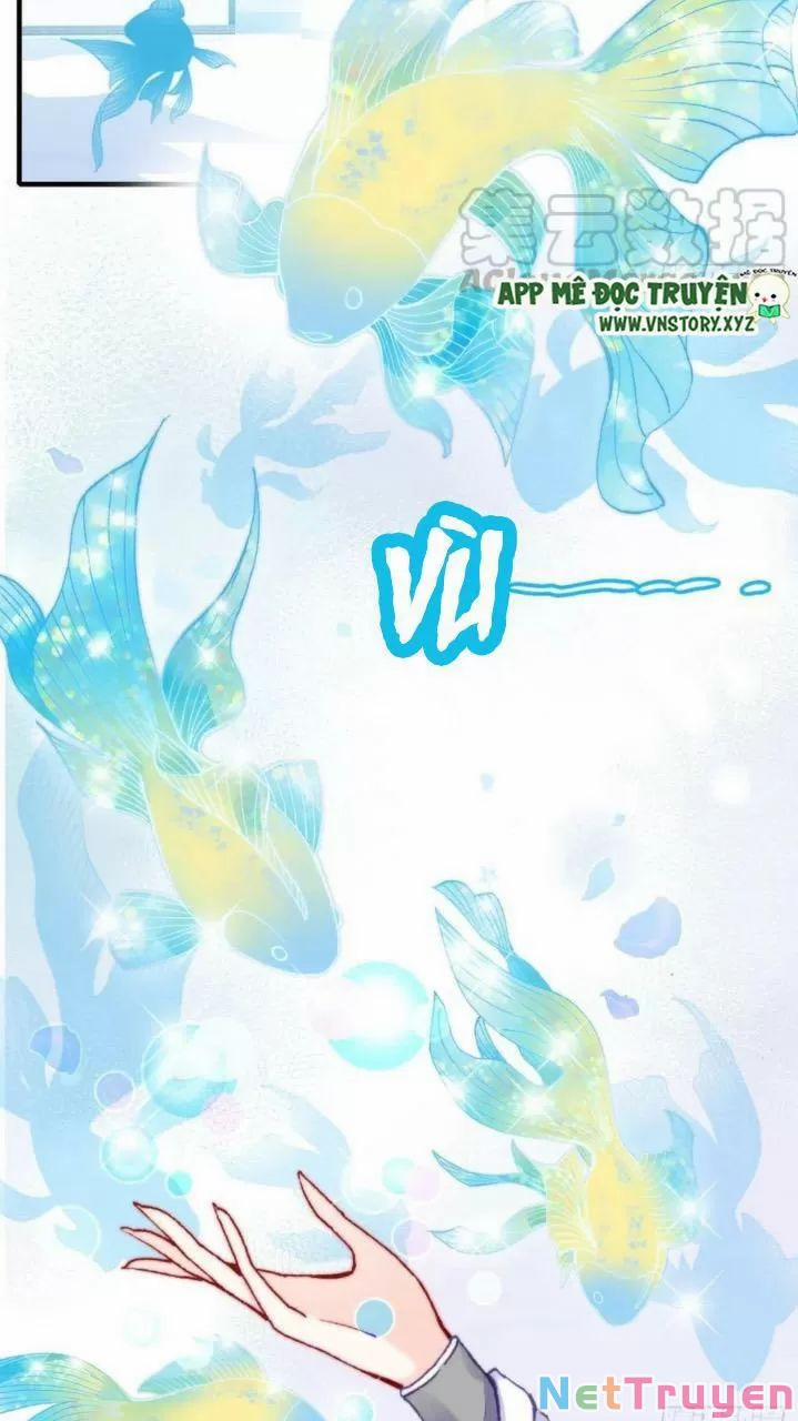 Lại Bị Bệnh Chiều Chuộng Quấn Lấy 0 Hồi ức cấm địa trang 2