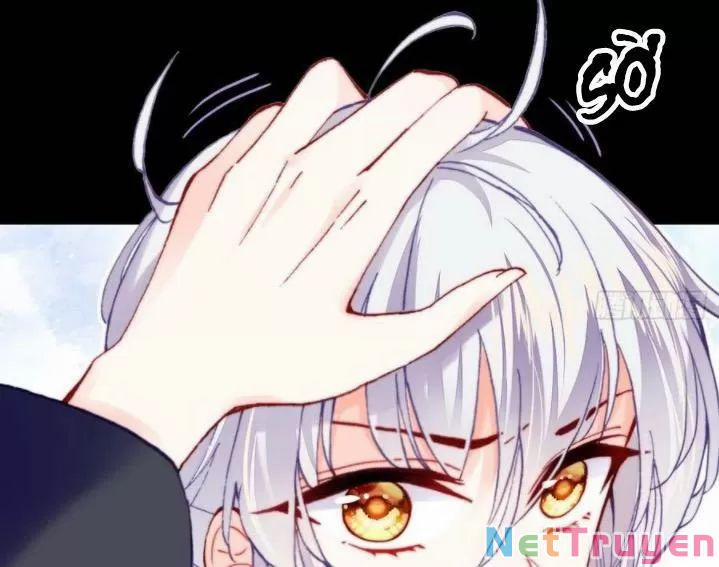 Lại Bị Bệnh Chiều Chuộng Quấn Lấy 0 Hồi ức cấm địa trang 21