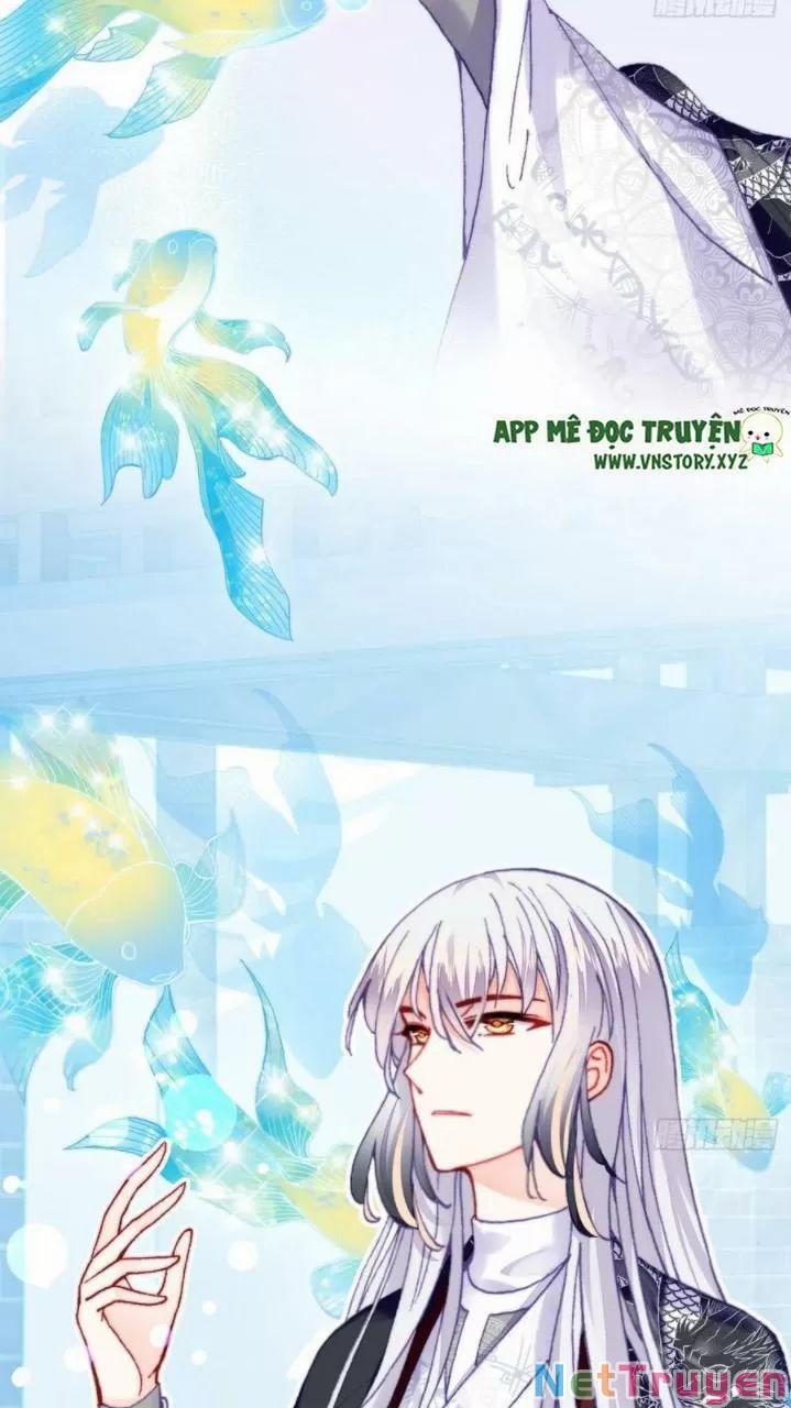 Lại Bị Bệnh Chiều Chuộng Quấn Lấy 0 Hồi ức cấm địa trang 3