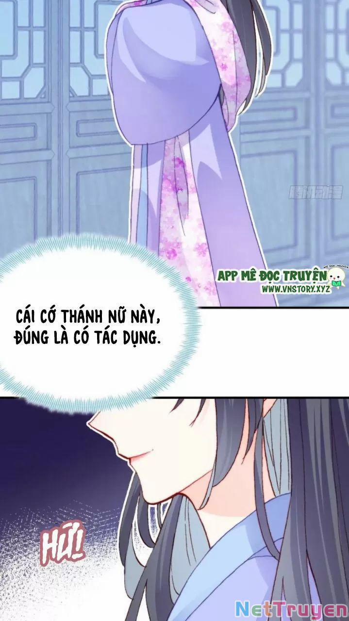 Lại Bị Bệnh Chiều Chuộng Quấn Lấy 0 Hồi ức cấm địa trang 39