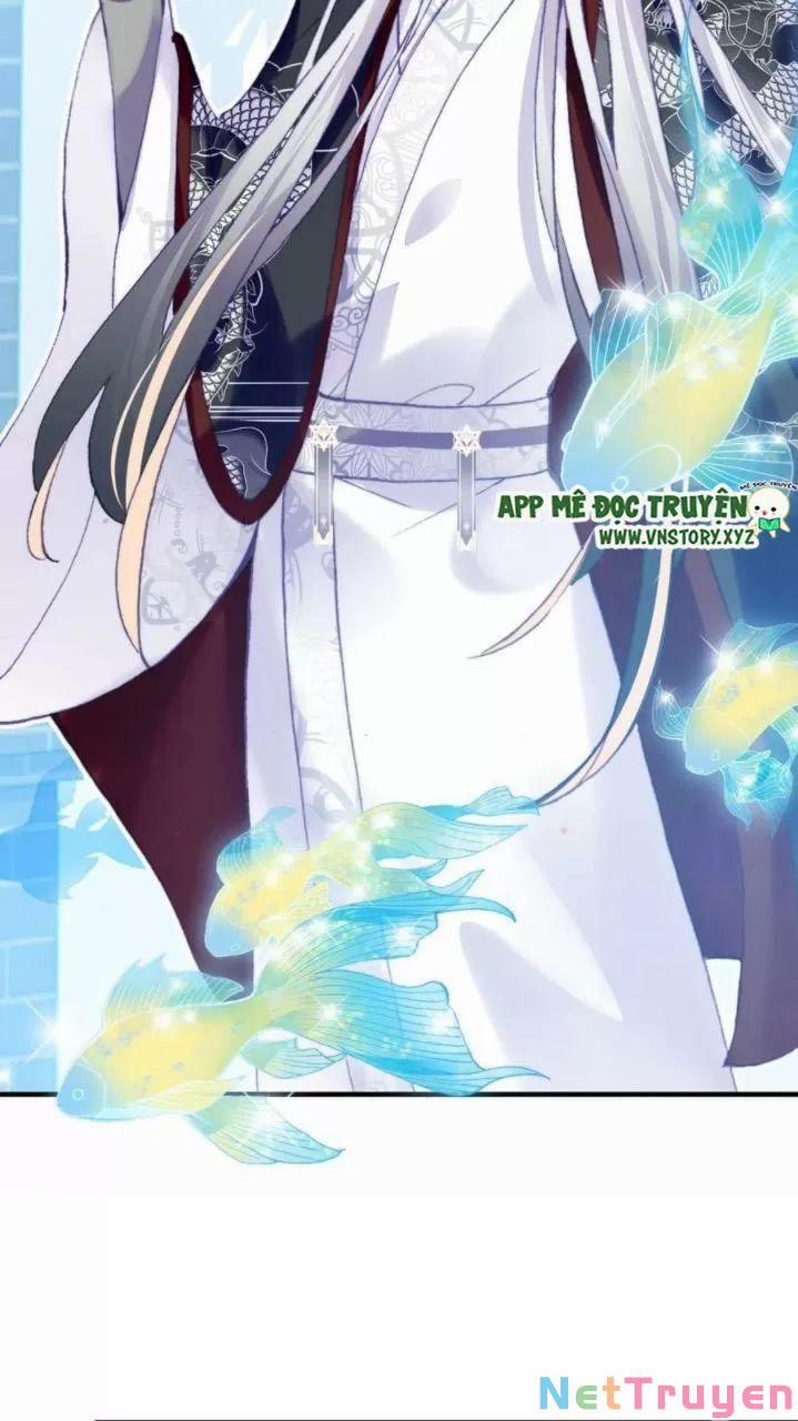 Lại Bị Bệnh Chiều Chuộng Quấn Lấy 0 Hồi ức cấm địa trang 4