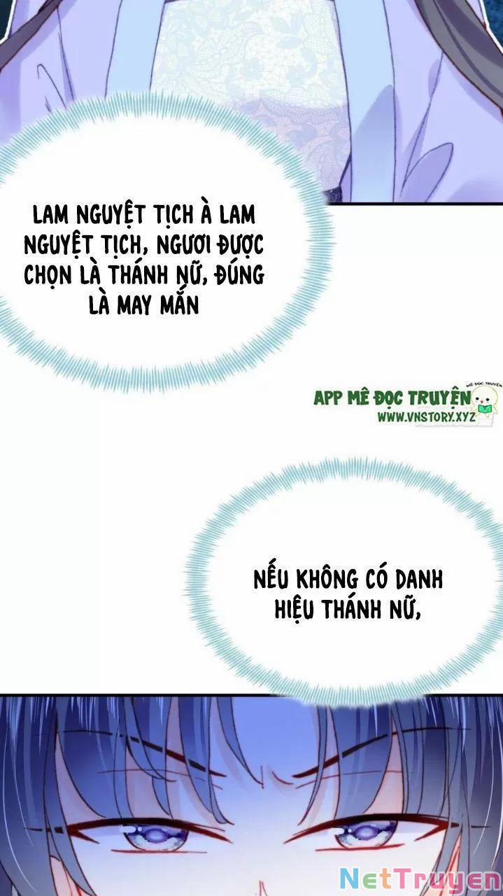 Lại Bị Bệnh Chiều Chuộng Quấn Lấy 0 Hồi ức cấm địa trang 41