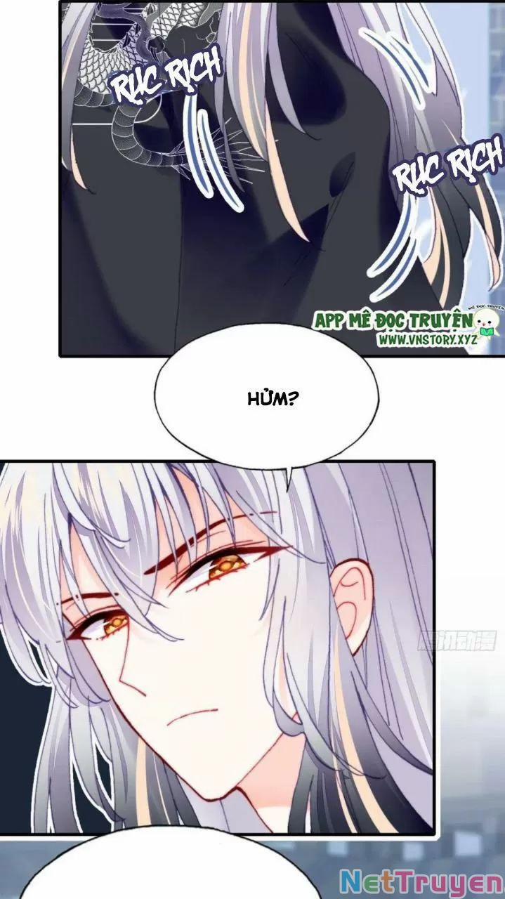 Lại Bị Bệnh Chiều Chuộng Quấn Lấy 0 Hồi ức cấm địa trang 5