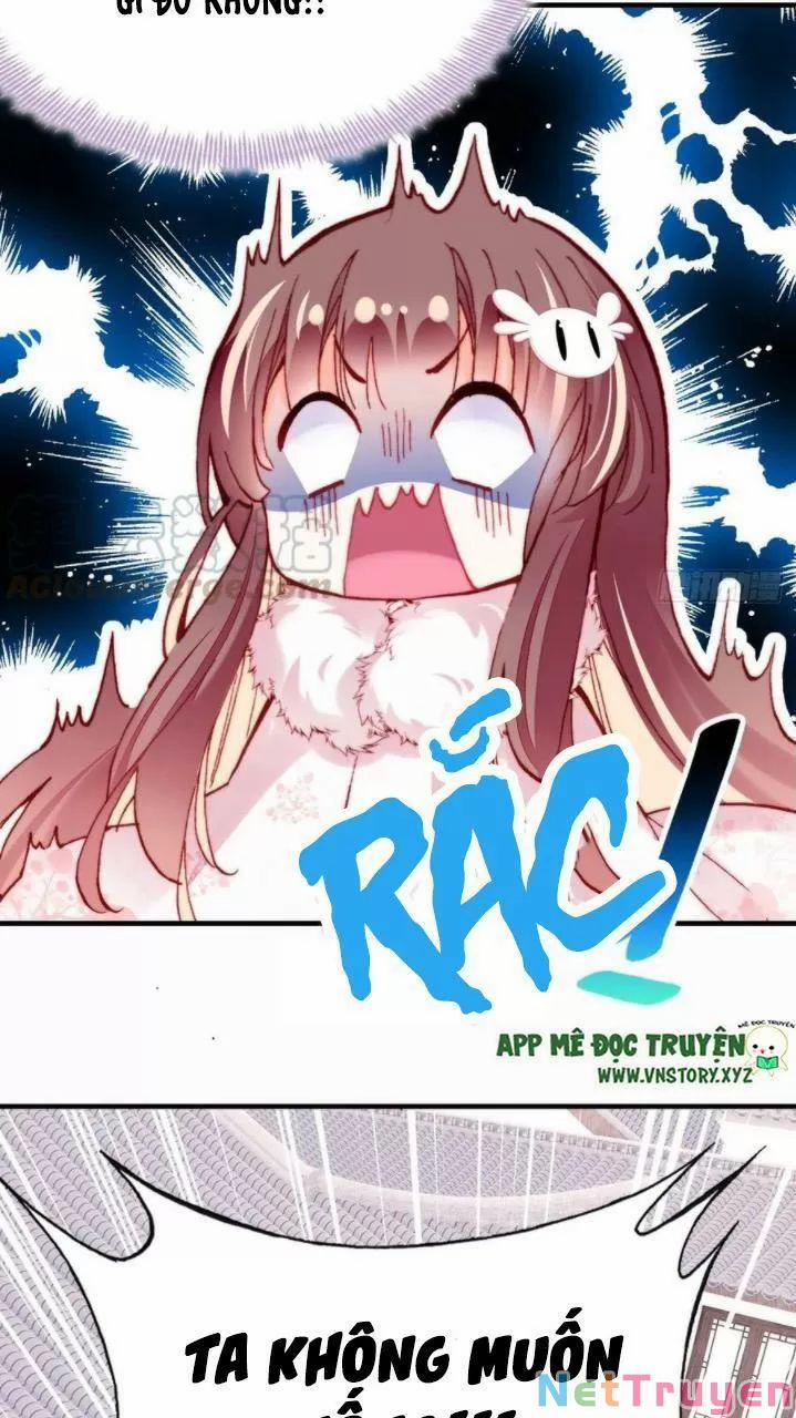 Lại Bị Bệnh Chiều Chuộng Quấn Lấy 0 Hồi ức cấm địa trang 54