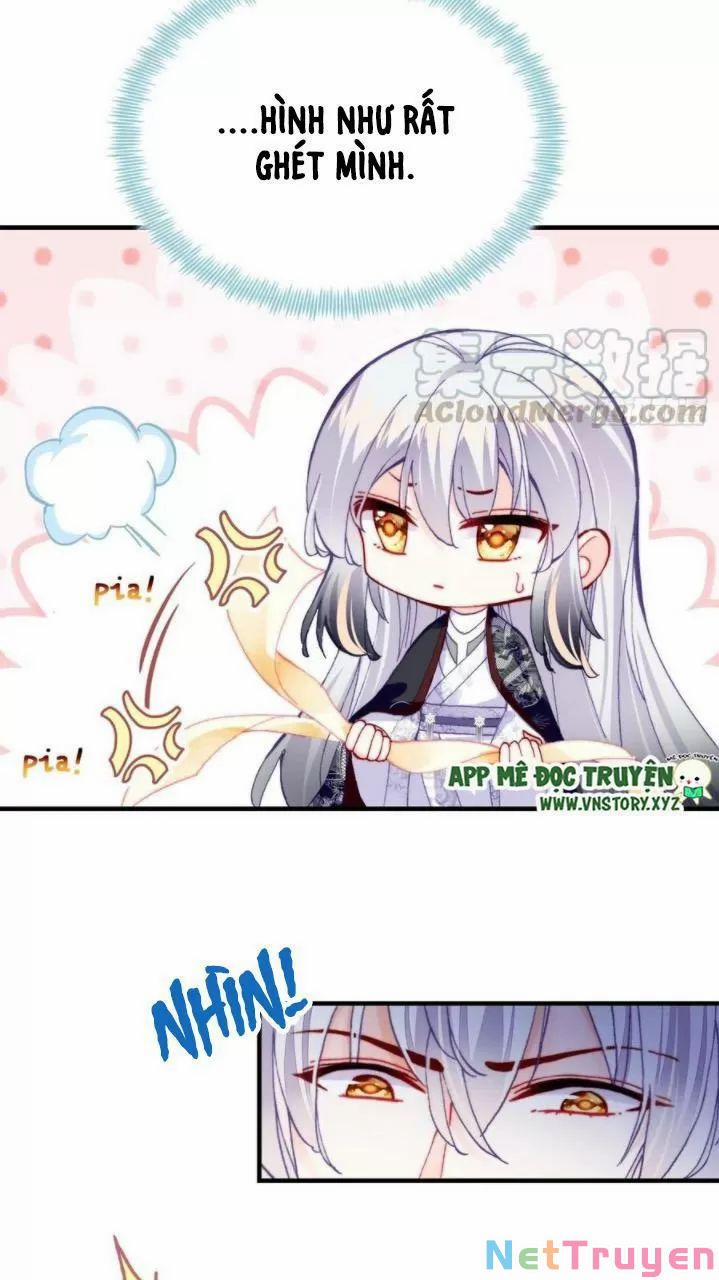 Lại Bị Bệnh Chiều Chuộng Quấn Lấy 0 Hồi ức cấm địa trang 7