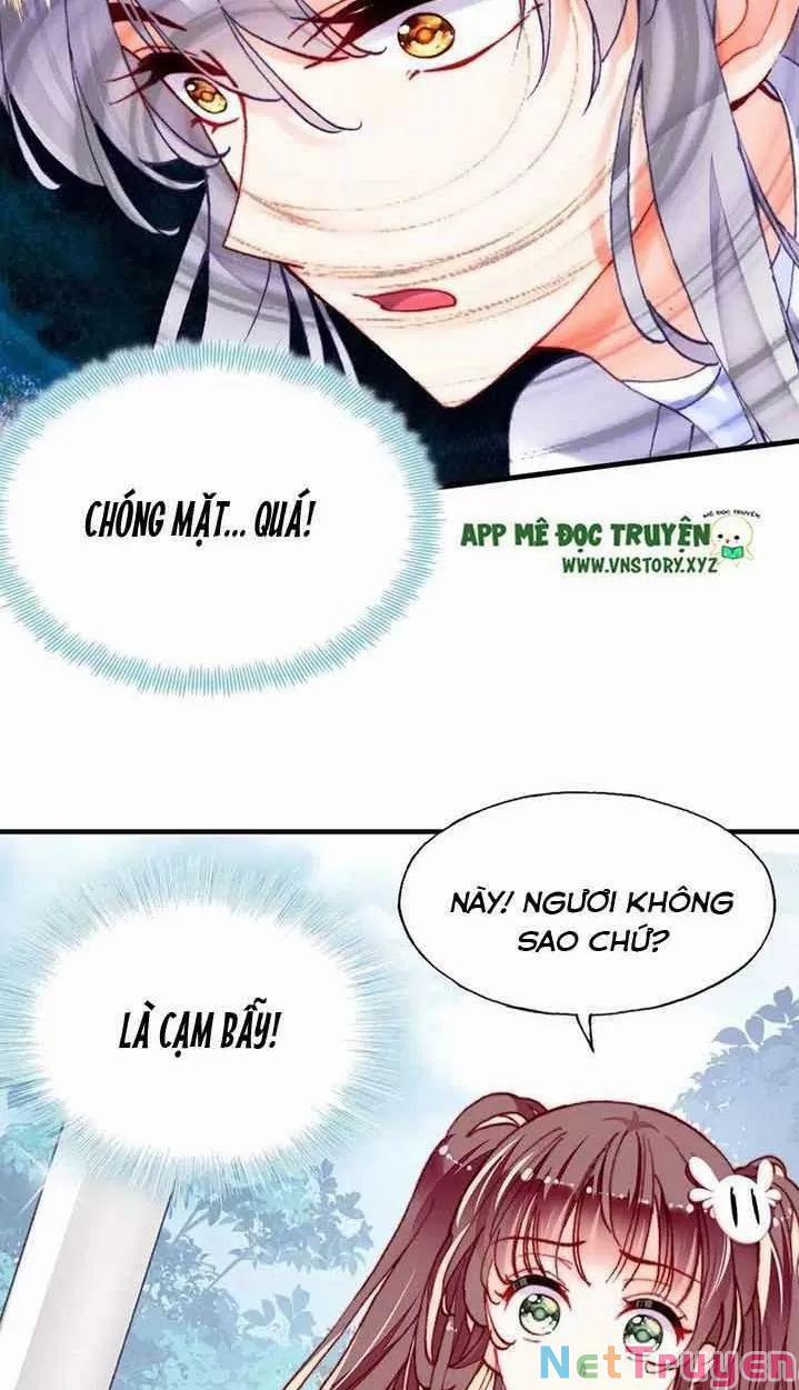 Lại Bị Bệnh Chiều Chuộng Quấn Lấy 0 Hồi Ức Trọng Thương trang 36