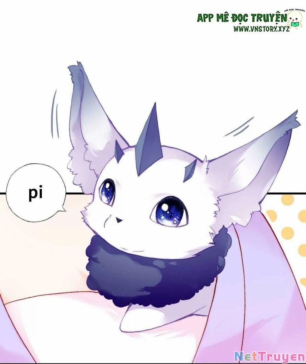 Lại Bị Bệnh Chiều Chuộng Quấn Lấy 0 Lam cô nương và nguyễn công tử trang 29