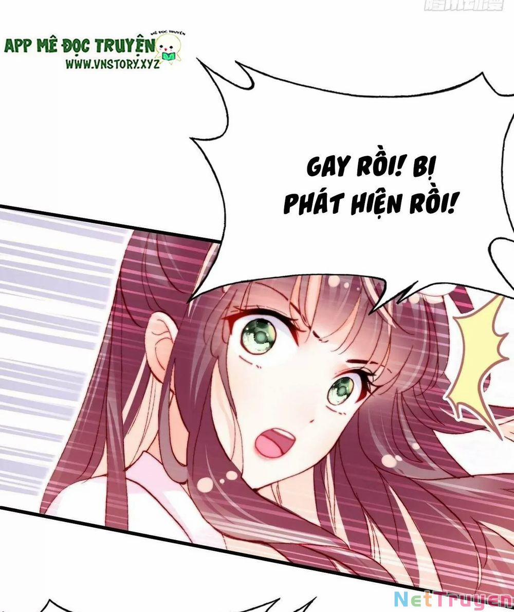 Lại Bị Bệnh Chiều Chuộng Quấn Lấy 0 Lam cô nương và nguyễn công tử trang 41