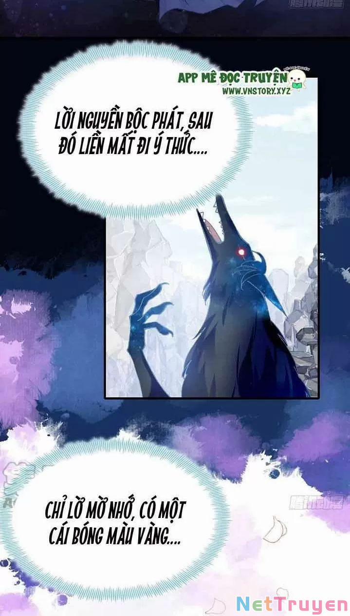 Lại Bị Bệnh Chiều Chuộng Quấn Lấy 0 Lần đầu gặp mặt, xin chỉ dạy nhiều trang 13