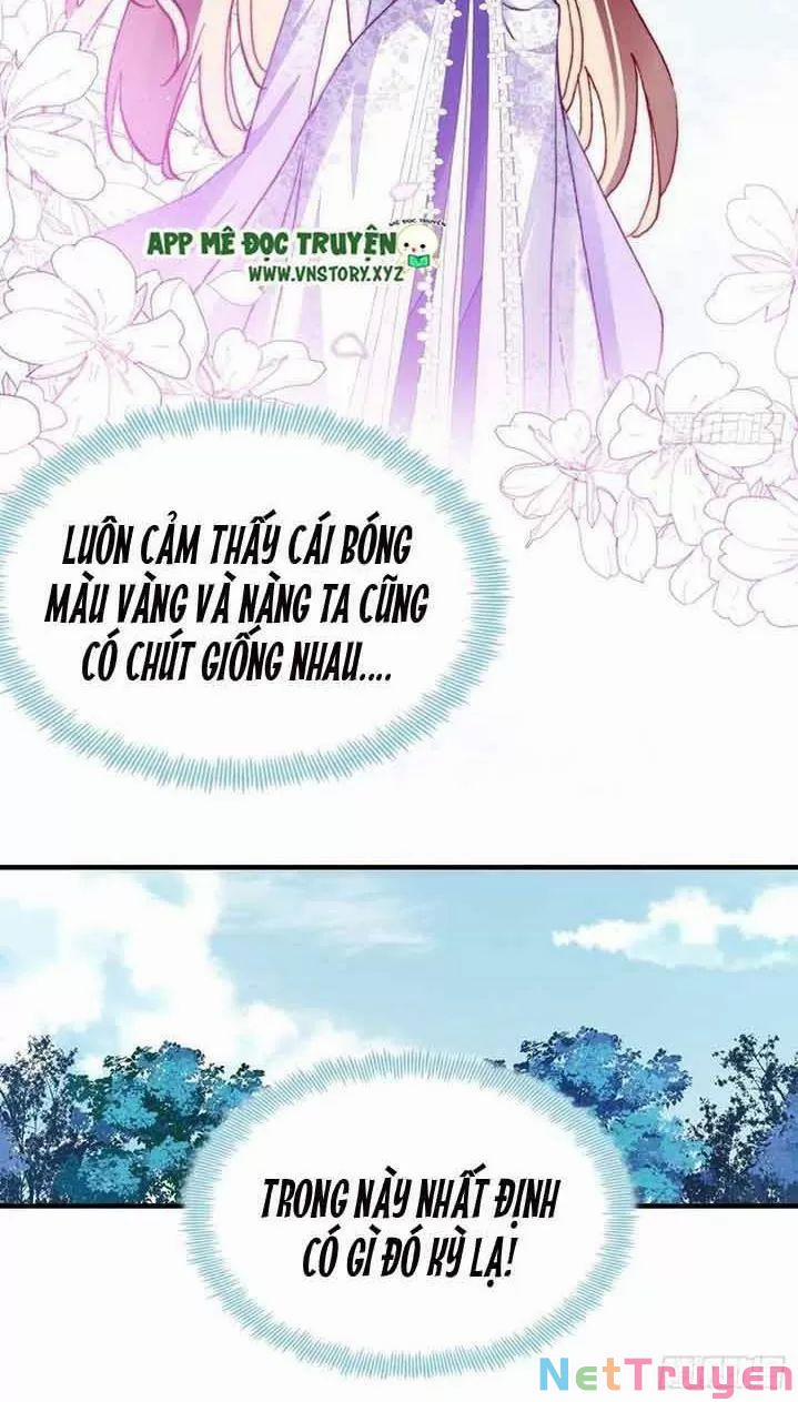 Lại Bị Bệnh Chiều Chuộng Quấn Lấy 0 Lần đầu gặp mặt, xin chỉ dạy nhiều trang 19