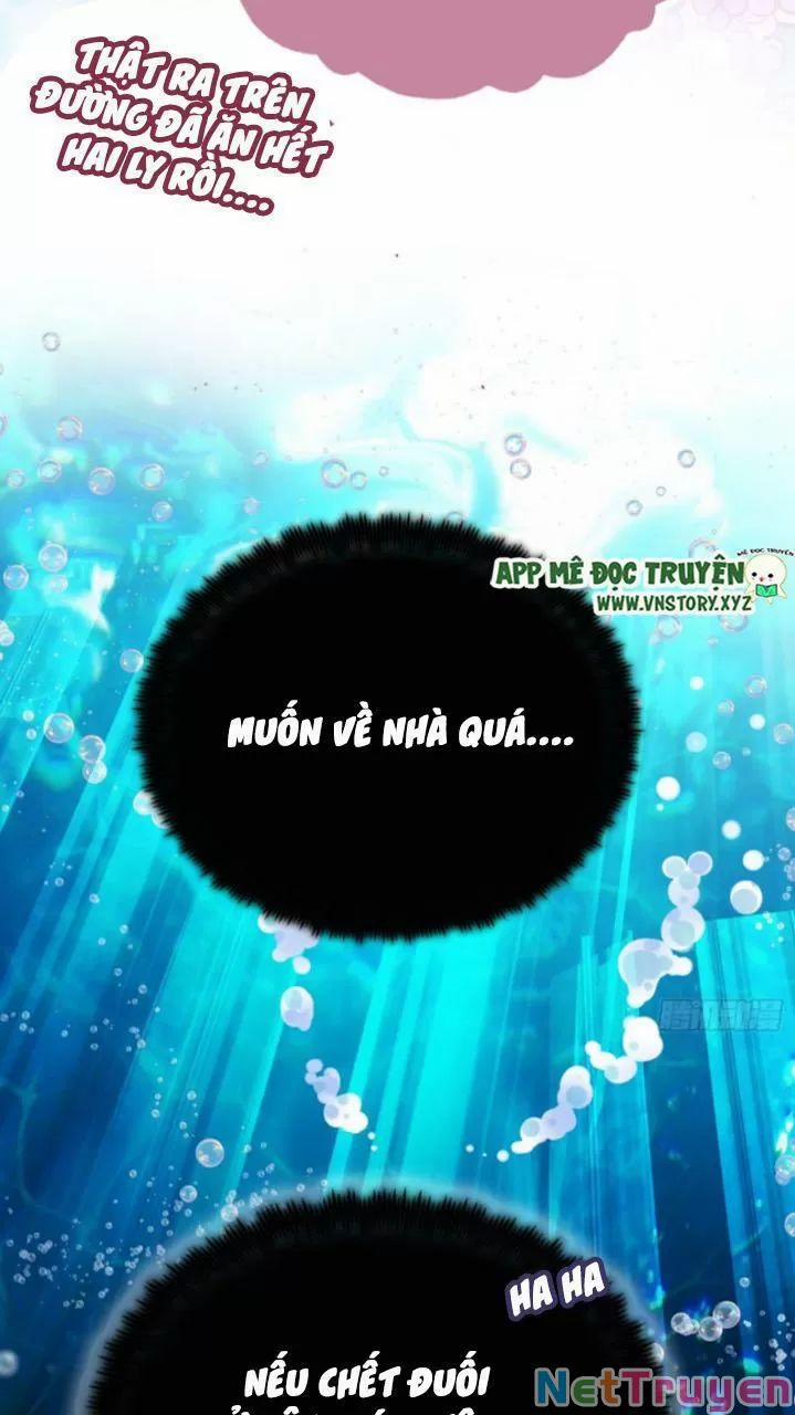 Lại Bị Bệnh Chiều Chuộng Quấn Lấy 0 Lý do trang 10