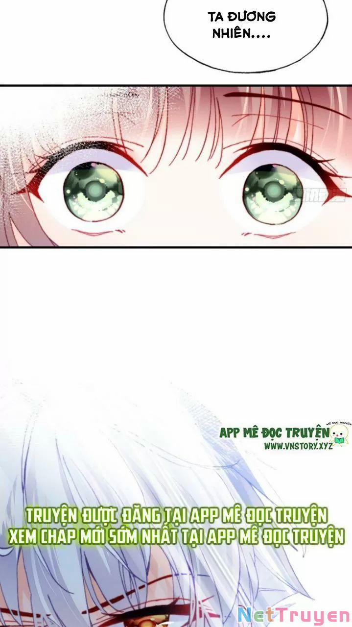 Lại Bị Bệnh Chiều Chuộng Quấn Lấy 0 Lý do trang 21