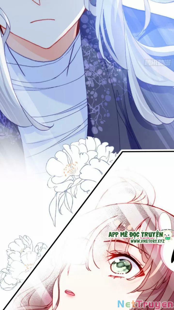 Lại Bị Bệnh Chiều Chuộng Quấn Lấy 0 Lý do trang 23