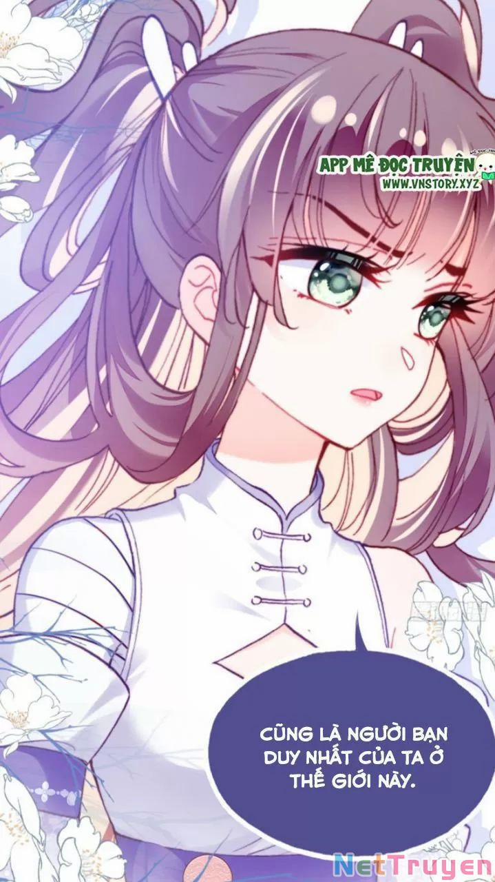 Lại Bị Bệnh Chiều Chuộng Quấn Lấy 0 Lý do trang 26