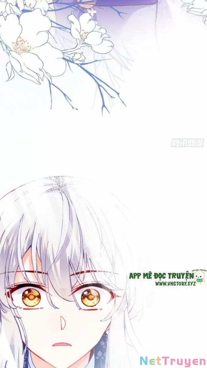 Lại Bị Bệnh Chiều Chuộng Quấn Lấy 0 Lý do trang 27