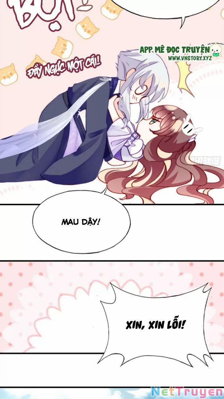 Lại Bị Bệnh Chiều Chuộng Quấn Lấy 0 Lý do trang 29