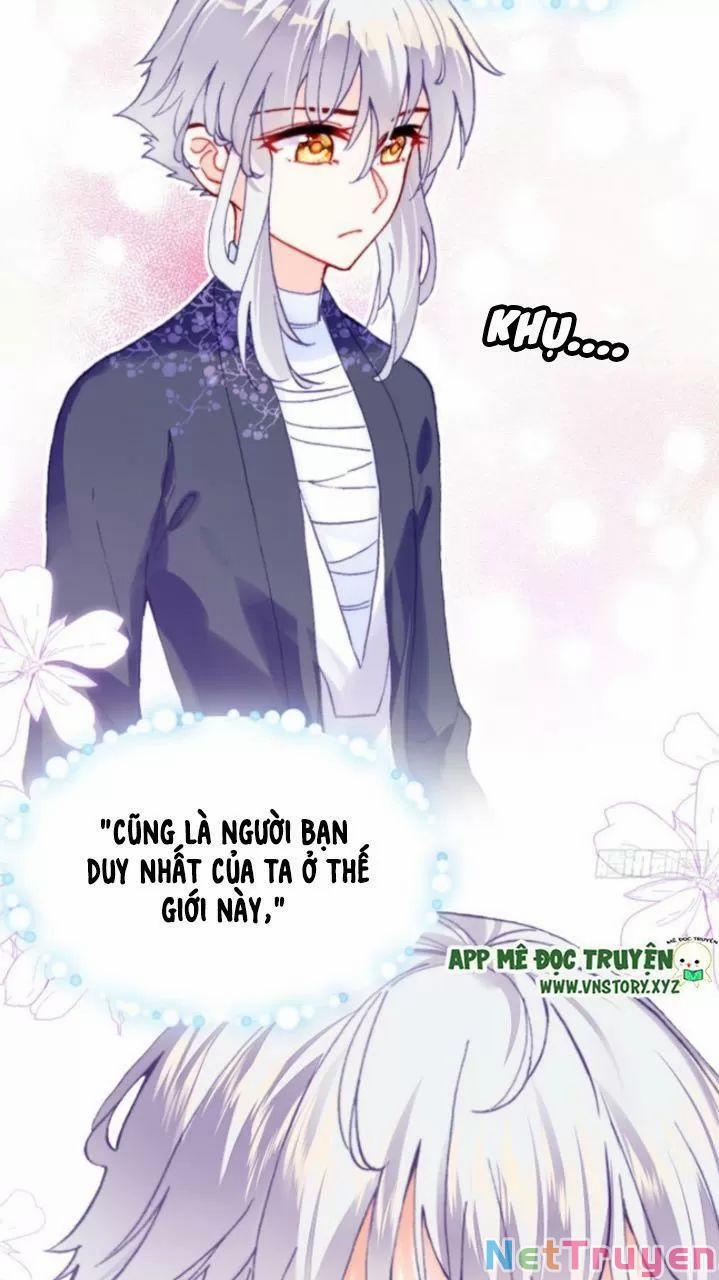 Lại Bị Bệnh Chiều Chuộng Quấn Lấy 0 Lý do trang 32