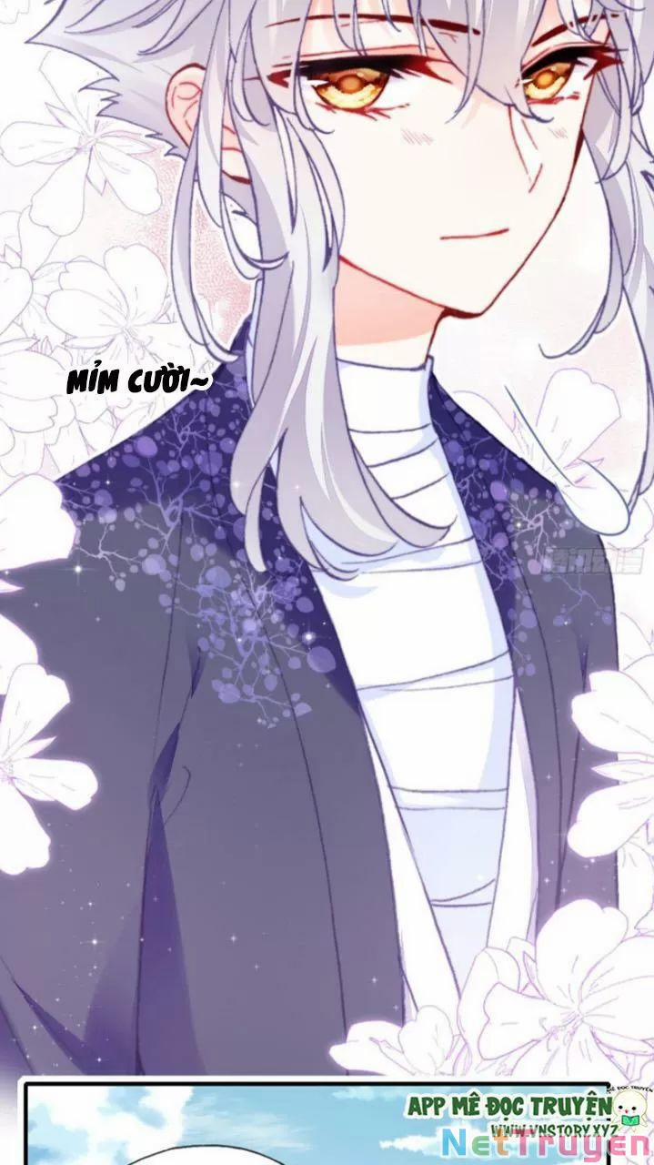 Lại Bị Bệnh Chiều Chuộng Quấn Lấy 0 Lý do trang 33