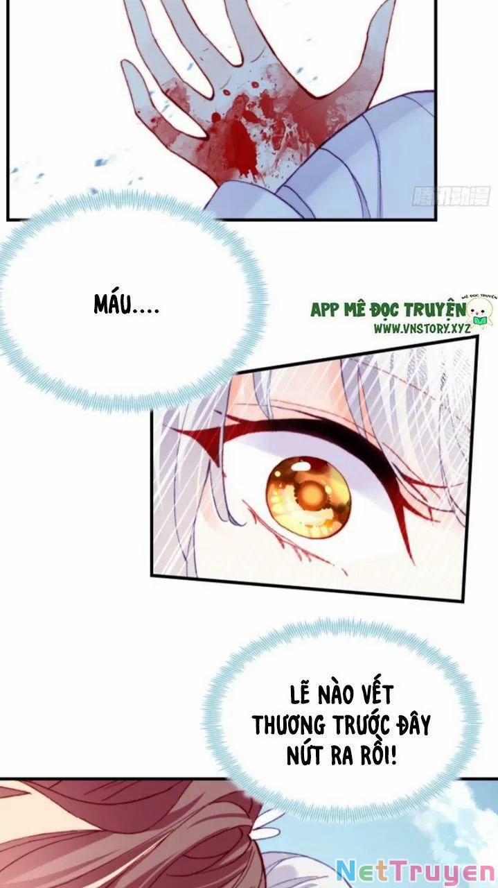 Lại Bị Bệnh Chiều Chuộng Quấn Lấy 0 Lý do trang 42