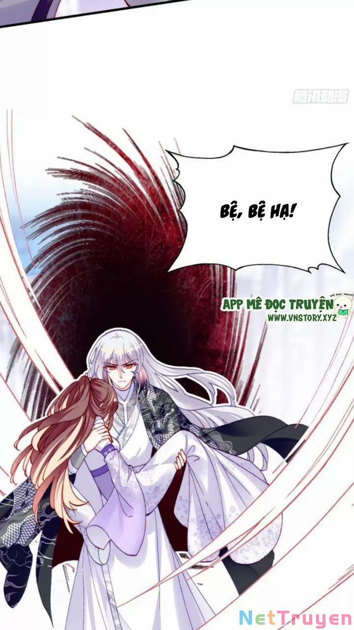 Lại Bị Bệnh Chiều Chuộng Quấn Lấy 0 Lý do trang 54