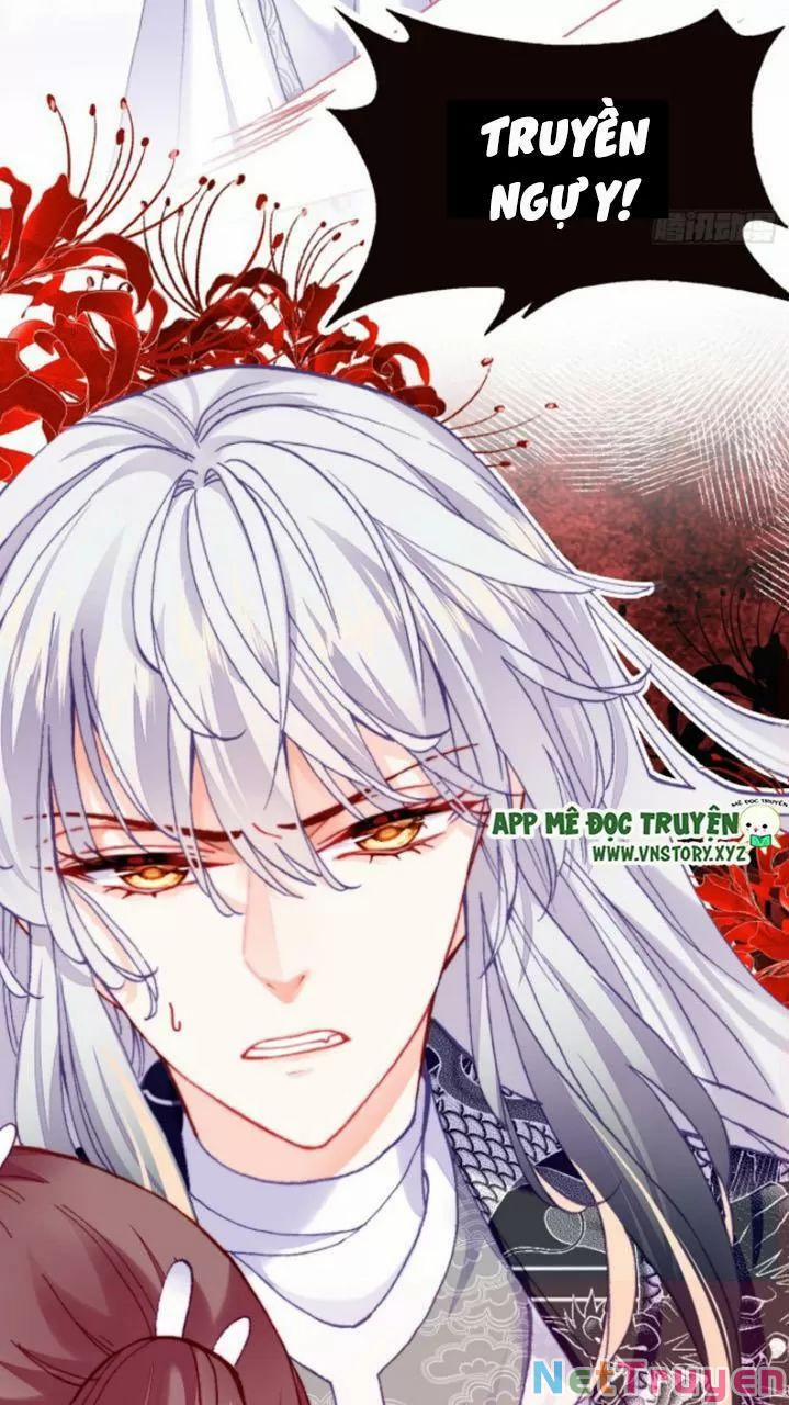 Lại Bị Bệnh Chiều Chuộng Quấn Lấy 0 Lý do trang 55