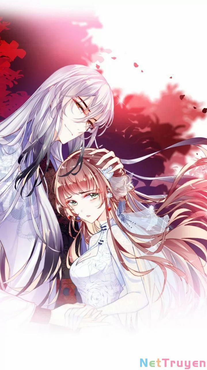 Lại Bị Bệnh Chiều Chuộng Quấn Lấy 0 Mỹ nhân và ta trang 0