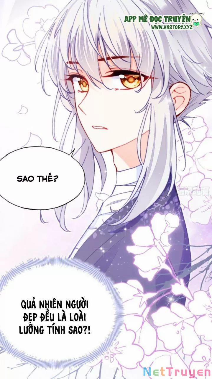 Lại Bị Bệnh Chiều Chuộng Quấn Lấy 0 Mỹ nhân và ta trang 12