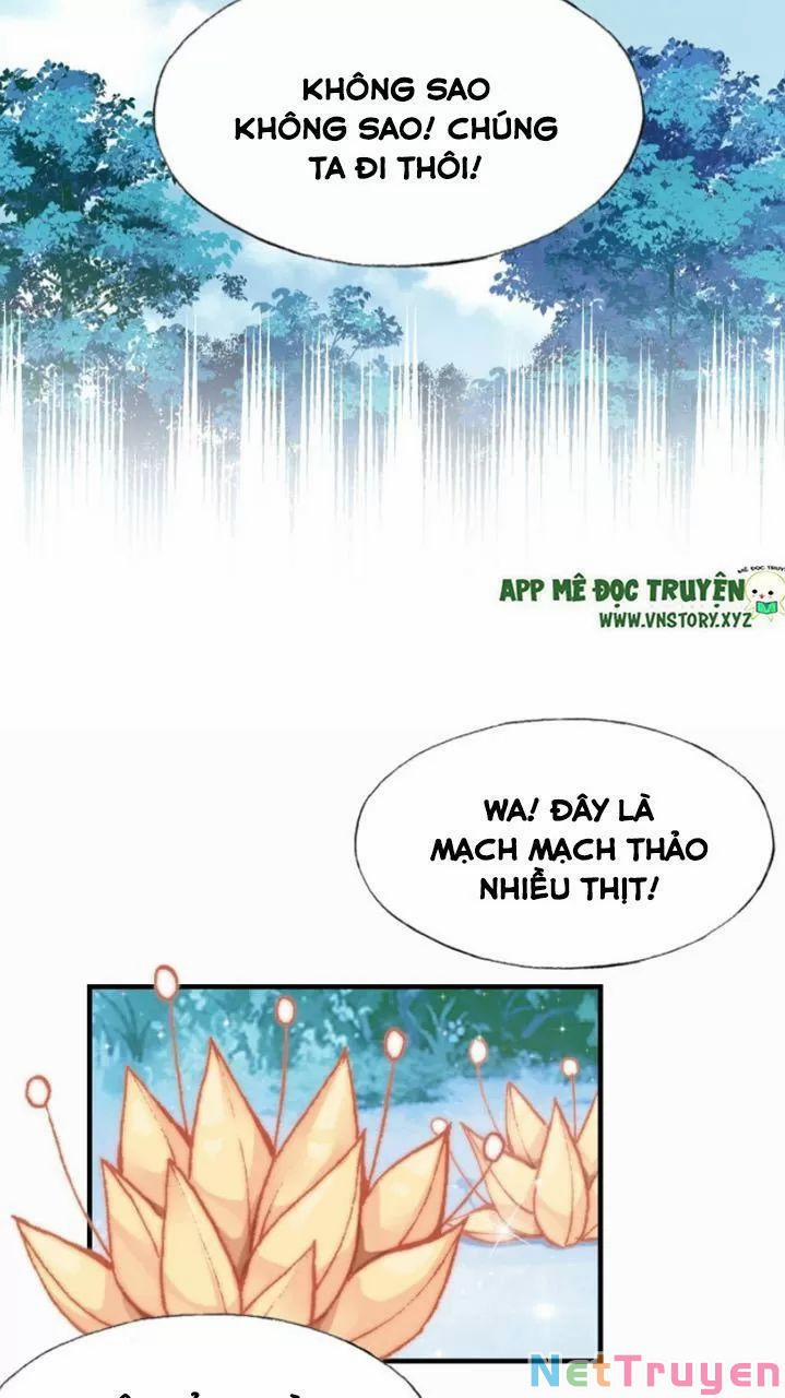 Lại Bị Bệnh Chiều Chuộng Quấn Lấy 0 Mỹ nhân và ta trang 14