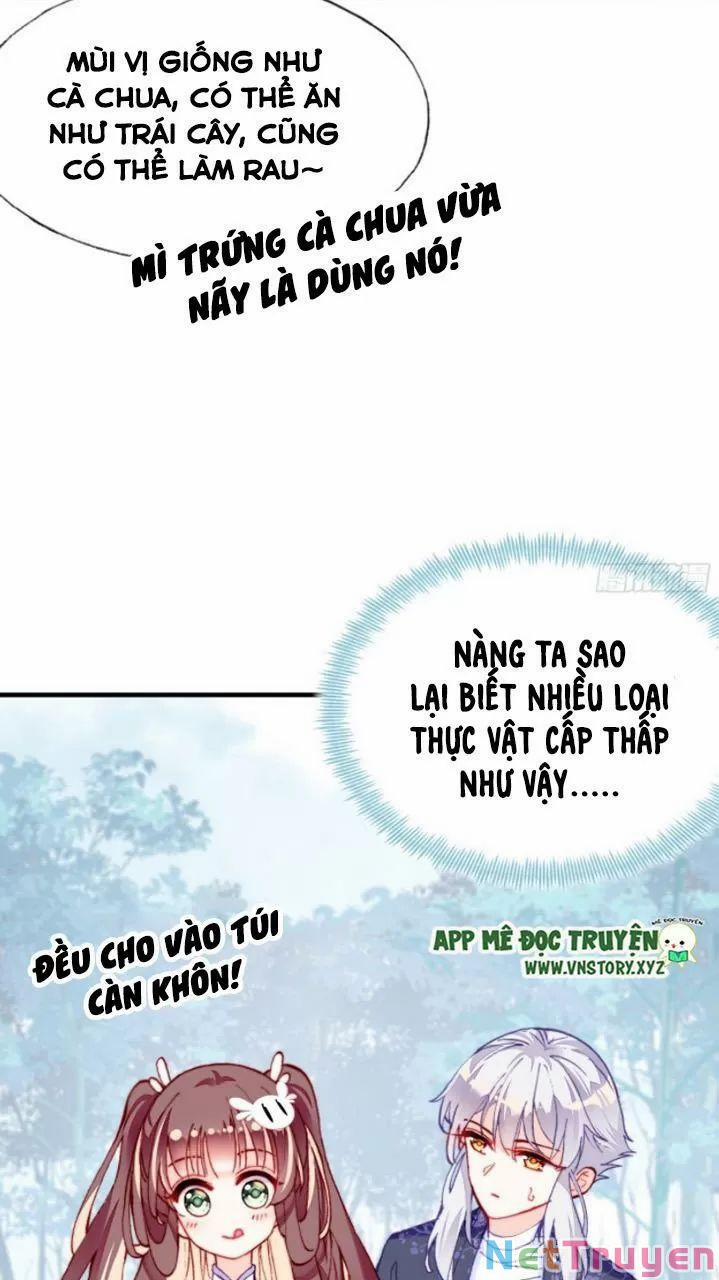 Lại Bị Bệnh Chiều Chuộng Quấn Lấy 0 Mỹ nhân và ta trang 16