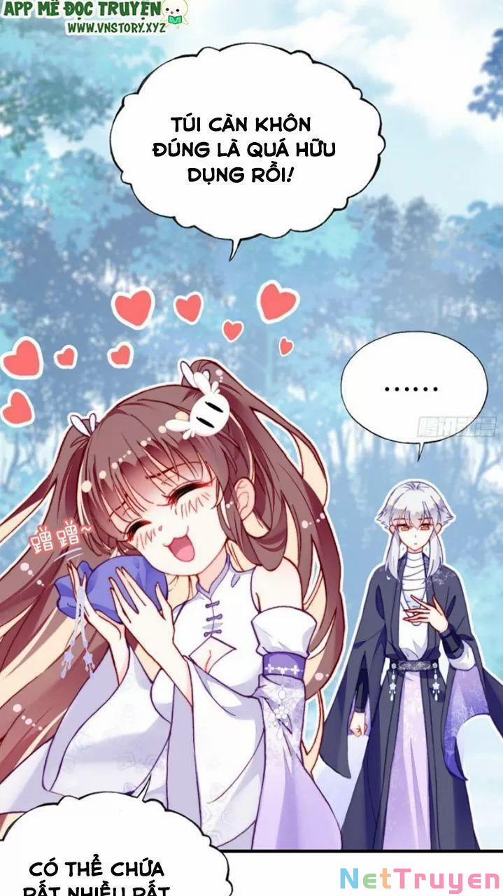 Lại Bị Bệnh Chiều Chuộng Quấn Lấy 0 Mỹ nhân và ta trang 18