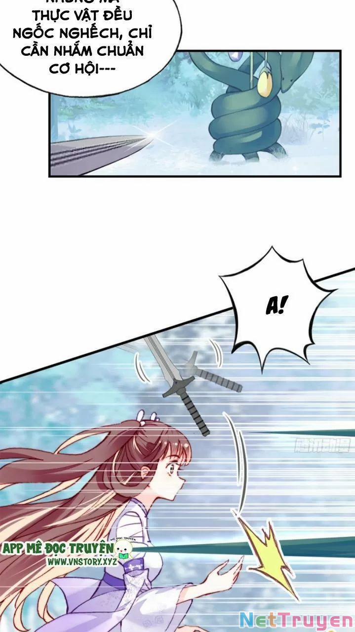 Lại Bị Bệnh Chiều Chuộng Quấn Lấy 0 Mỹ nhân và ta trang 35