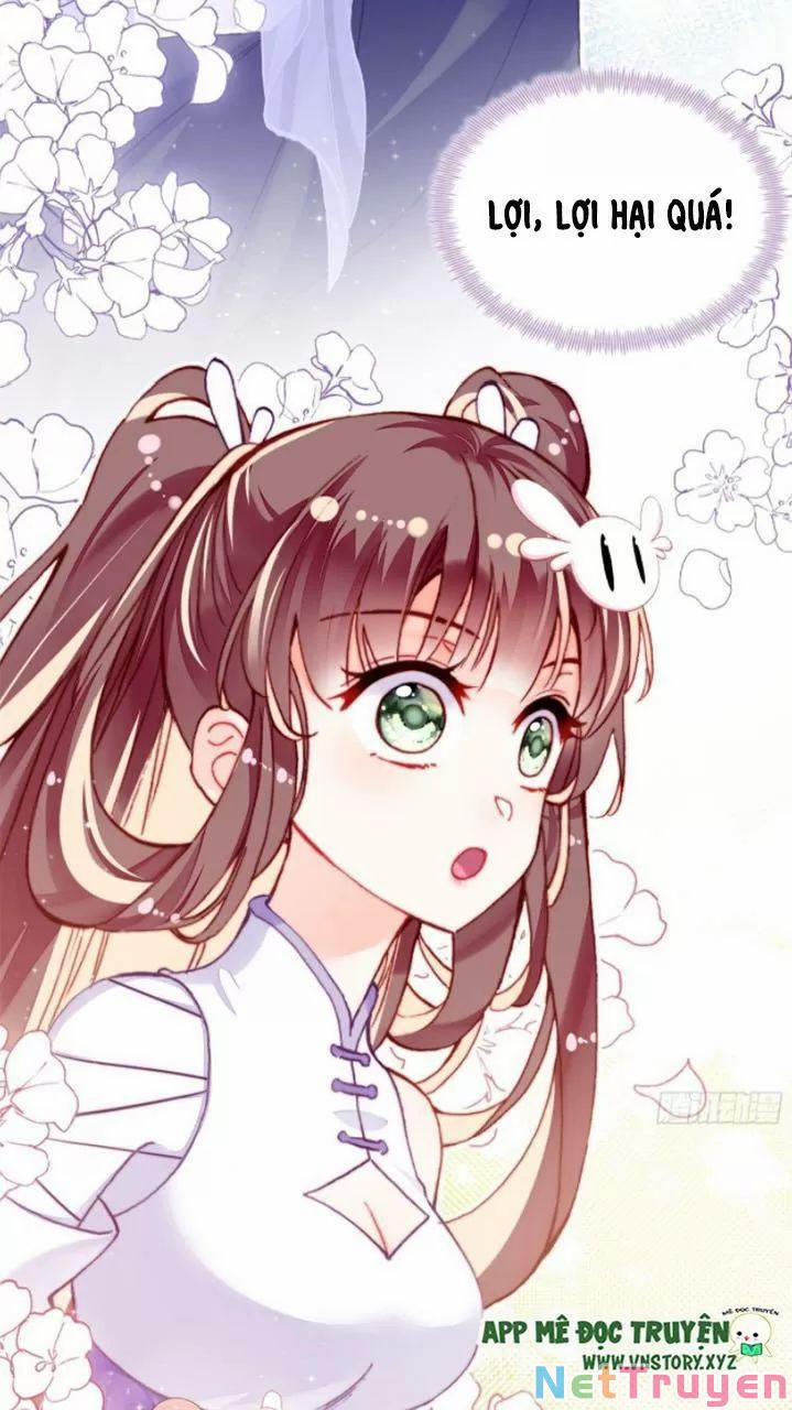 Lại Bị Bệnh Chiều Chuộng Quấn Lấy 0 Mỹ nhân và ta trang 41