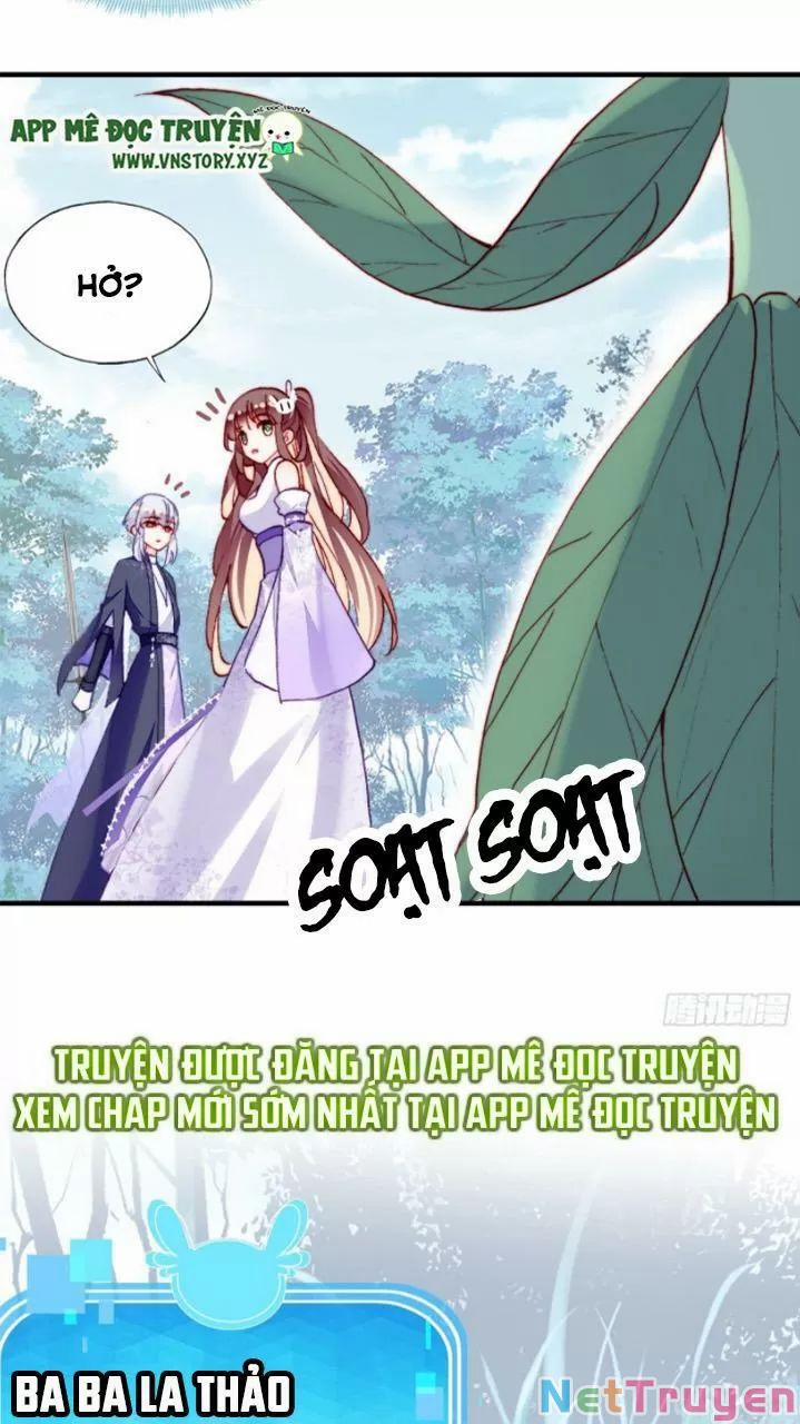 Lại Bị Bệnh Chiều Chuộng Quấn Lấy 0 Mỹ nhân và ta trang 43