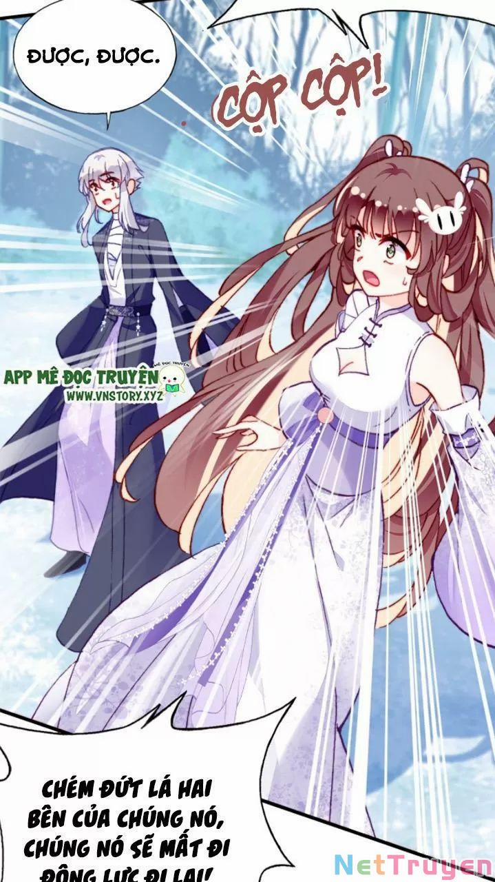 Lại Bị Bệnh Chiều Chuộng Quấn Lấy 0 Mỹ nhân và ta trang 47