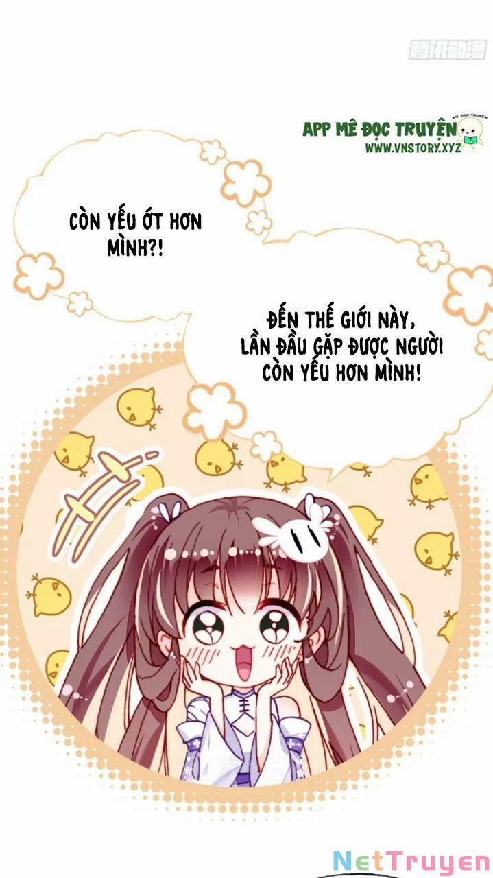 Lại Bị Bệnh Chiều Chuộng Quấn Lấy 0 Mỹ nhân và ta trang 5