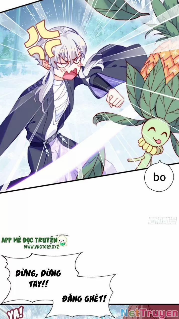 Lại Bị Bệnh Chiều Chuộng Quấn Lấy 0 Mỹ nhân và ta trang 51