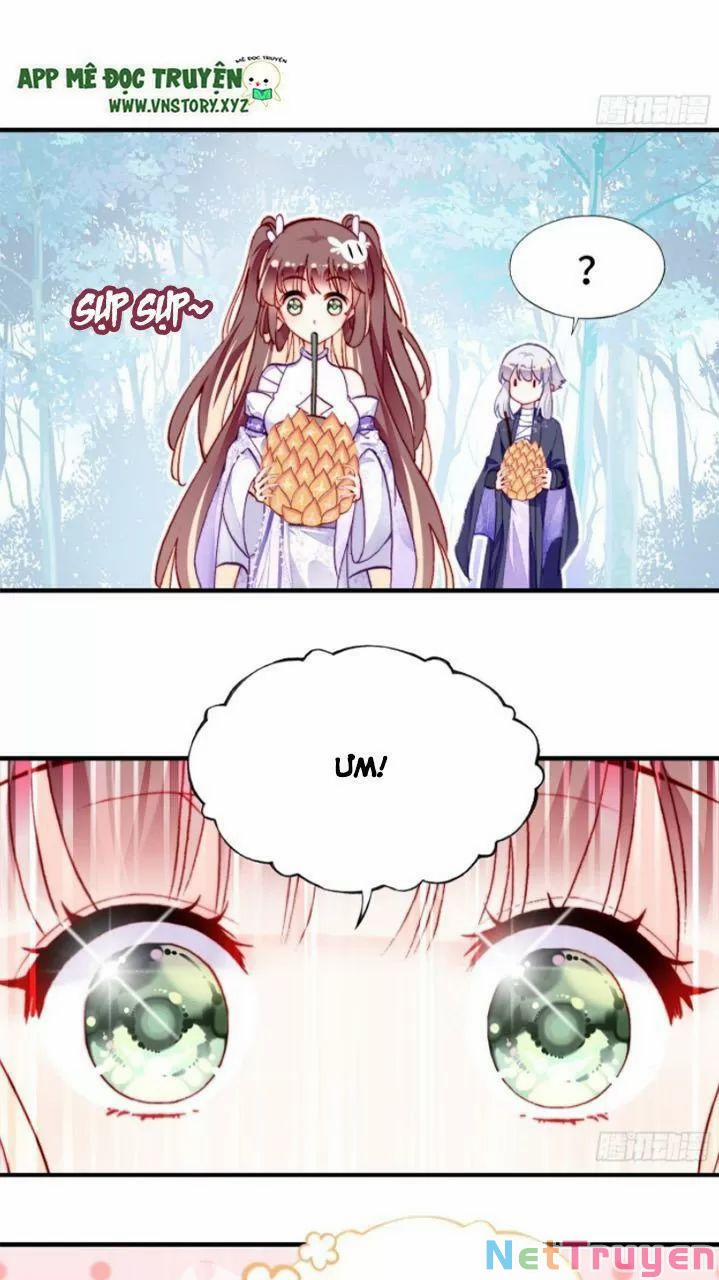 Lại Bị Bệnh Chiều Chuộng Quấn Lấy 0 Mỹ nhân và ta trang 56