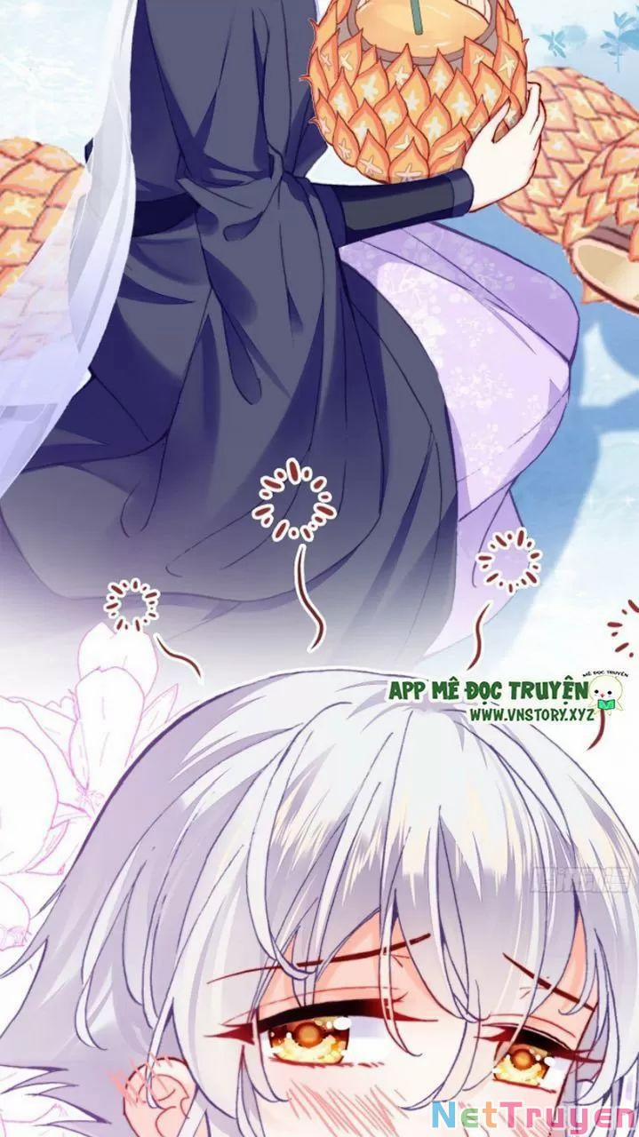 Lại Bị Bệnh Chiều Chuộng Quấn Lấy 0 Mỹ nhân và ta trang 61