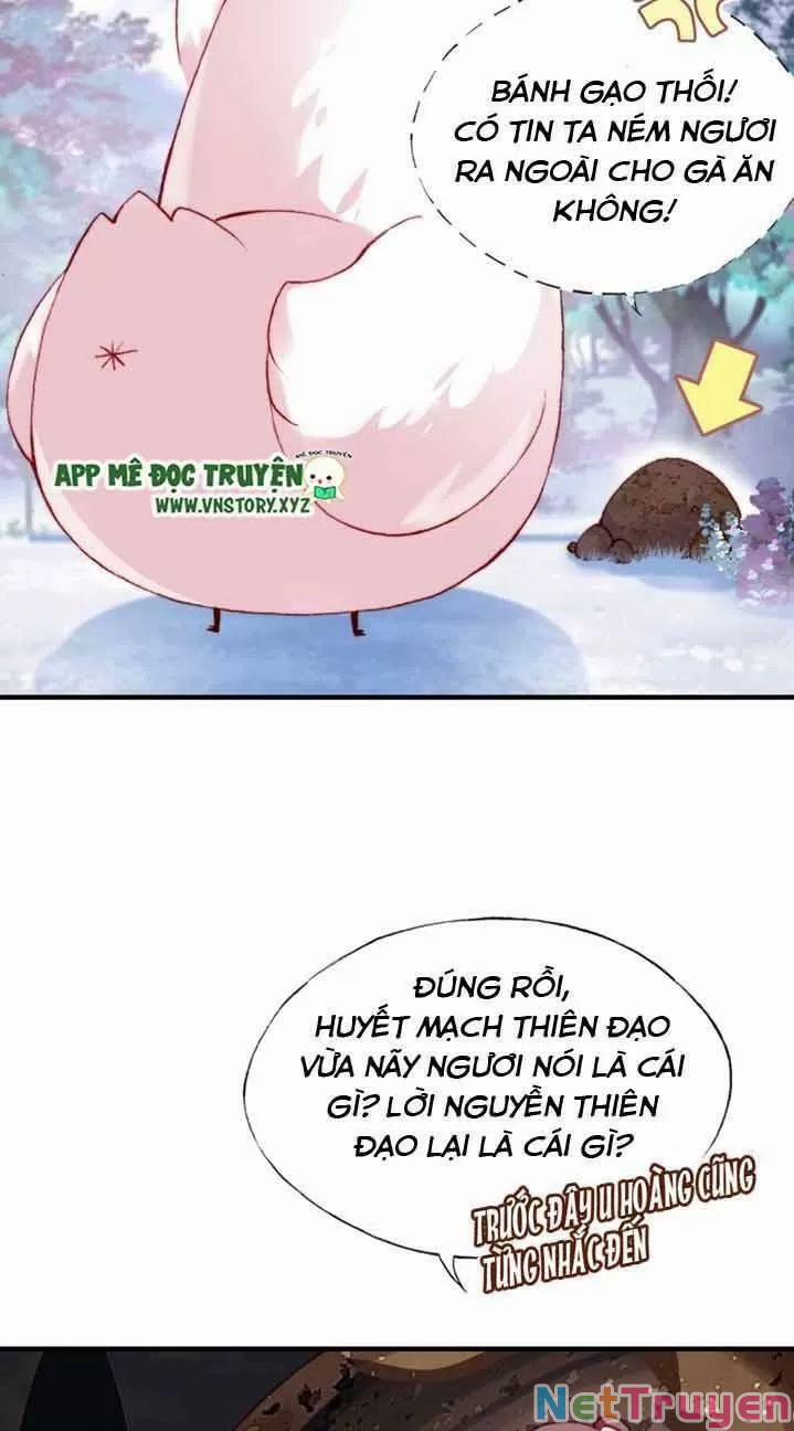 Lại Bị Bệnh Chiều Chuộng Quấn Lấy 0 Ngự thổ tiên tử trang 21