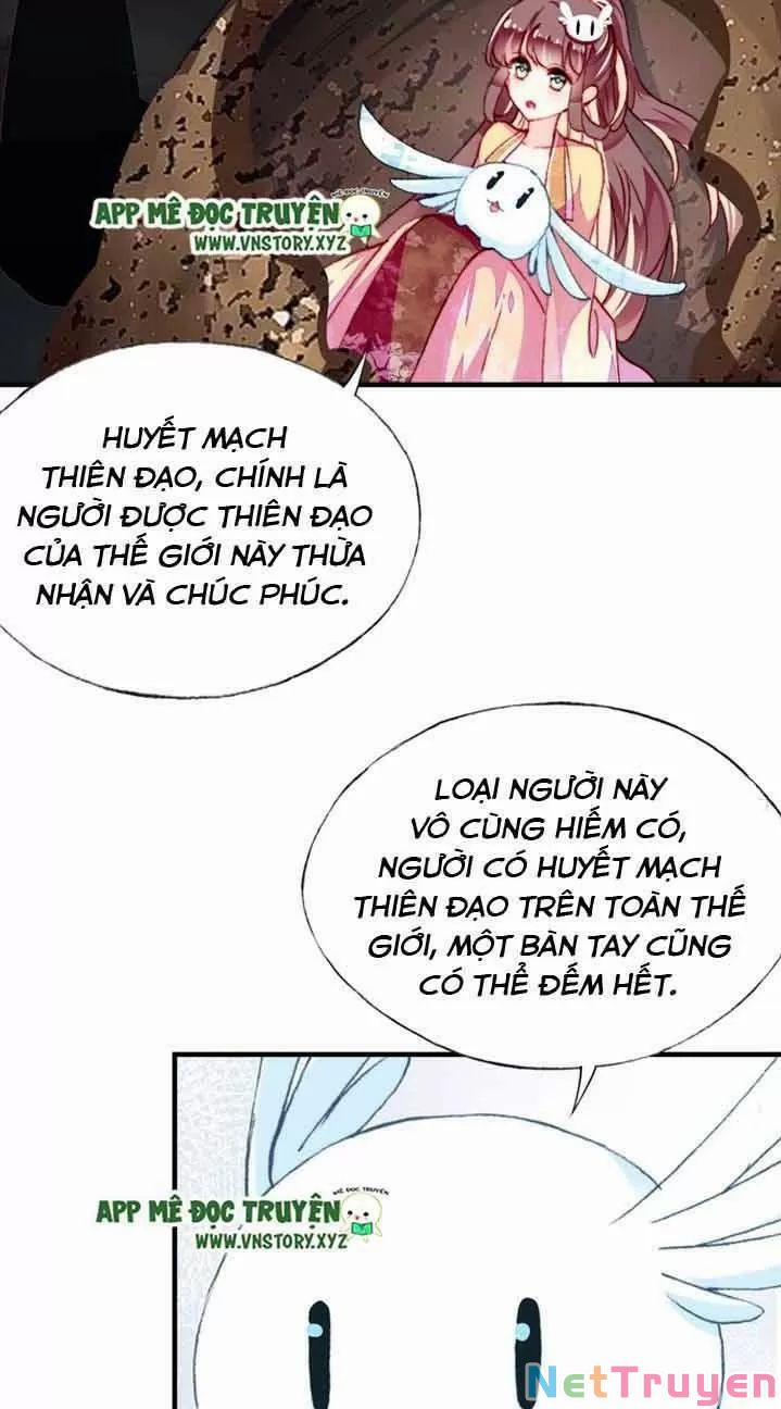 Lại Bị Bệnh Chiều Chuộng Quấn Lấy 0 Ngự thổ tiên tử trang 22