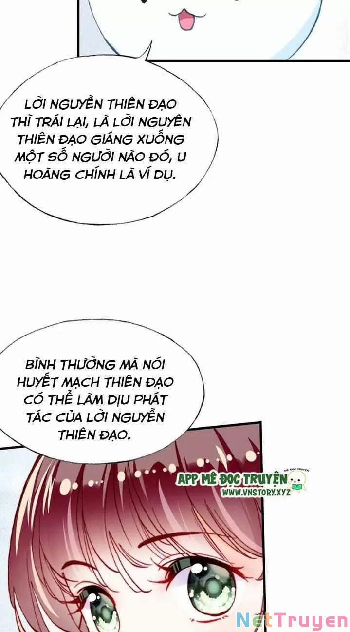 Lại Bị Bệnh Chiều Chuộng Quấn Lấy 0 Ngự thổ tiên tử trang 23