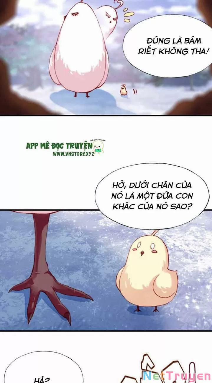 Lại Bị Bệnh Chiều Chuộng Quấn Lấy 0 Ngự thổ tiên tử trang 27